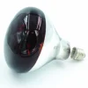 GAUN AMPOULE POUR ELEVEUSE 100W> Équipements De Reproduction·Éleveuses Et Ampoules|Équipements De Reproduction·Éleveuses Et Ampoules