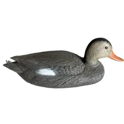 TERZEO CHASSEURS APPELANT CHIPEAU FEMELLE><noscript><img width=