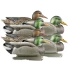 GREENHEAD APPELANT COLVERT LIFE SIZE 4M+2F> Chasse Du Gibier D'Eau·Formes Et Blettes De Canards