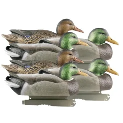 GREENHEAD APPELANT COLVERT LIFE SIZE 4M+2F> Chasse Du Gibier D'Eau·Formes Et Blettes De Canards