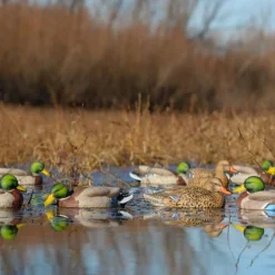 GREENHEAD APPELANT COLVERT LIFE SIZE 4M+2F> Chasse Du Gibier D'Eau·Formes Et Blettes De Canards