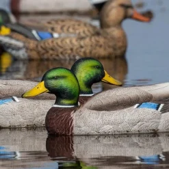 GREENHEAD APPELANT COLVERT LIFE SIZE 4M+2F><noscript><img width=