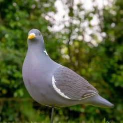 TERZEO CHASSEURS APPELANT PIGEON ULTRA HD> Chasse Du Pigeon Et De La Palombe·Formes Et Blettes De Pigeons Et De Palombes