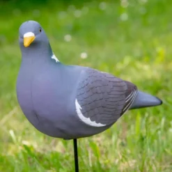 TERZEO CHASSEURS APPELANT PIGEON ULTRA HD><noscript><img width=