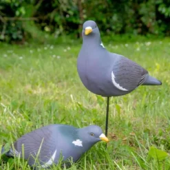 TERZEO CHASSEURS APPELANT PIGEON ULTRA HD><noscript><img width=