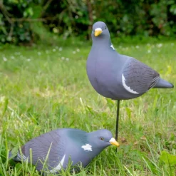TERZEO CHASSEURS APPELANT PIGEON ULTRA HD PICORANT><noscript><img width=