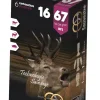 SAUVESTRE BALLES FLECHE 16/67X6> Cartouches De Chasse Calibre 16·Balles Fusils