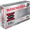 WINCHESTER BALLES 243WIN PP 80G> Munitions Rayées Pour Le Grand Gibier·Balles 243 Winchester
