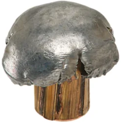 WINCHESTER BALLES 8X57JRS PP 195GR><noscript><img width=