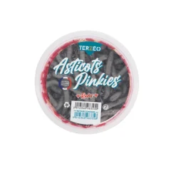 TERZEO PÊCHEURS BOITE D'ASTICOTS PINKIES RUBIS> Appâts Naturels Eau Douce·Asticots