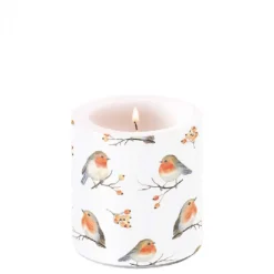 AMBIENTE BOUGIE FAMILLE DOISEAUX PM> Décorations D'Intérieur·Décorations D'Intérieur