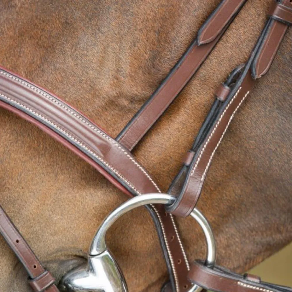 HFI BRIDON ANATOMIC HAVANE> Briderie·Bridons Cuir