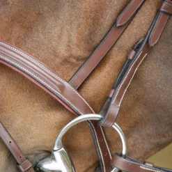 HFI BRIDON ANATOMIC HAVANE><noscript><img width=