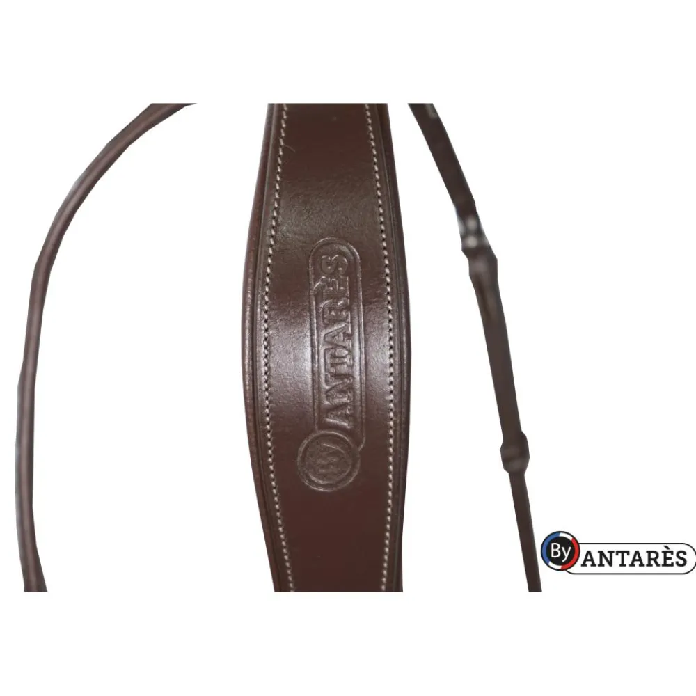 ANTARES BRIDON COMBINE SIGNATURE HAVANE> Briderie·Bridons Antarès