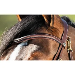 HFI BRIDON CUIR ANATOMIQUE TECHNO HAVAN><noscript><img width=