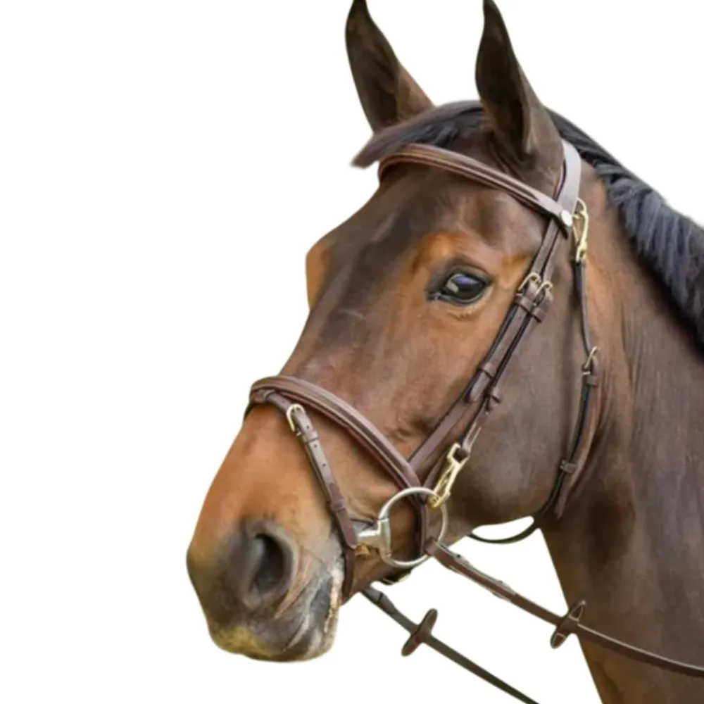 HFI BRIDON CUIR FONCTIONAL HAVANE> Briderie·Bridons Cuir