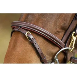 HFI BRIDON CUIR FONCTIONAL HAVANE><noscript><img width=