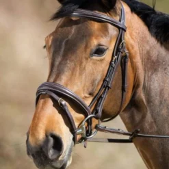 HFI BRIDON ELEGANT MARRON> Briderie·Bridons Cuir