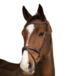 NORTON BRIDON HAVANE> Briderie·Bridons Cuir
