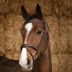 NORTON BRIDON HAVANE> Briderie·Bridons Cuir