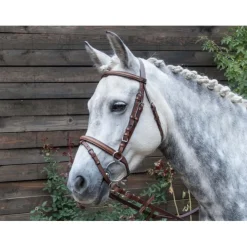 T DE T BRIDON SISLEY COMBINE HAVANE> Briderie·Bridons Cuir