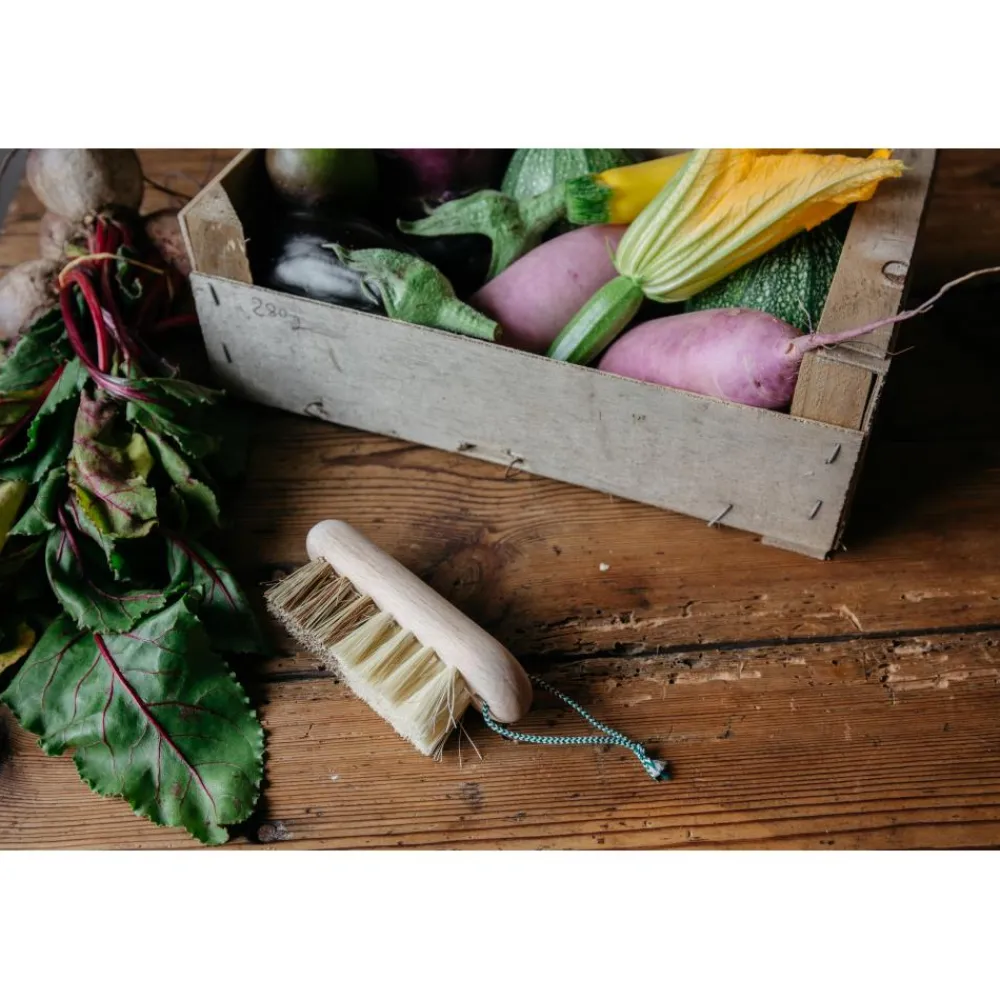 ANDREE JARDIN BROSSE A LEGUMES EN BOIS HETRE> Accessoires Pour L'Entretien·Brosses De Nettoyage Cuisine