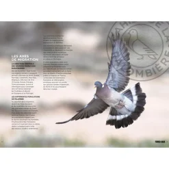 TERRES & EAUX CAHIER DE PALOMBIERE> Livres Sur La Chasse·Livres Sur Le Pigeon Et La Palombe