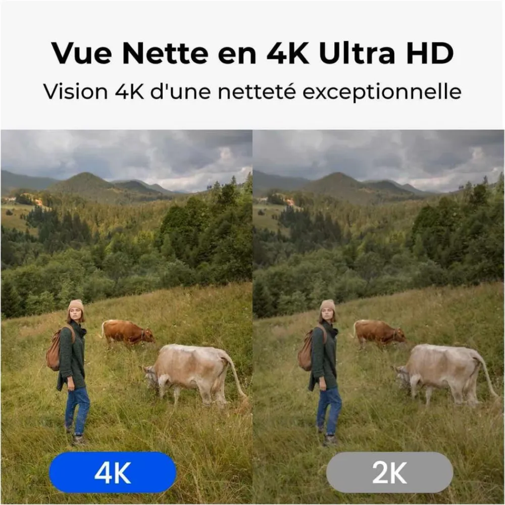 REOLINK CAMERA G770 360° + PANNEAU SOLAIRE 4G> Caméras De Surveillance·Caméras De Surveillance|Caméras De Surveillance·Caméras De Surveillance