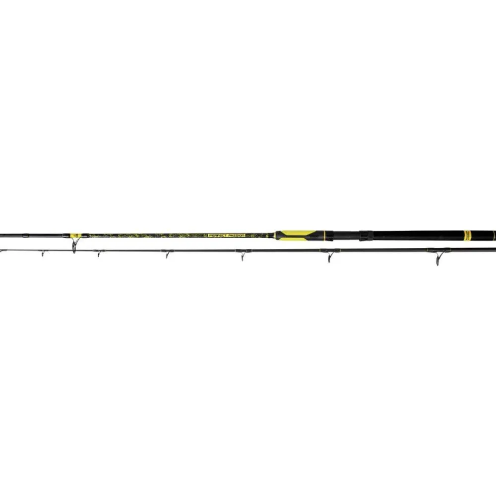 BLACK CAT CANNE PERFECT PASSION SPIN 2M70 60/200G> Cannes Silure·Cannes Silure Et Spinning