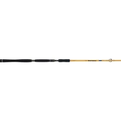 ILLEX CANNE SPINNING ELEMENT RIDER X5 S 230 H KORRIGAN><noscript><img width=