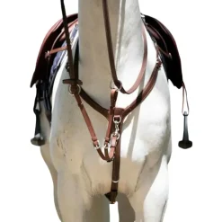 ANTARES COLLIER DE CHASSE A PONT HAVANE> Enrênements Et Travail À Pied·Enrênements Travail Monté