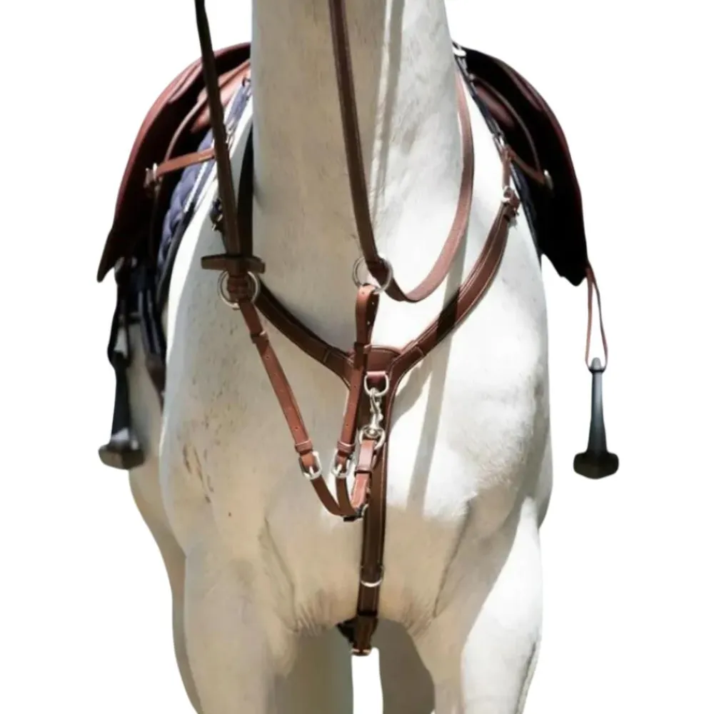 ANTARES COLLIER DE CHASSE A PONT HAVANE> Enrênements Et Travail À Pied·Enrênements Travail Monté