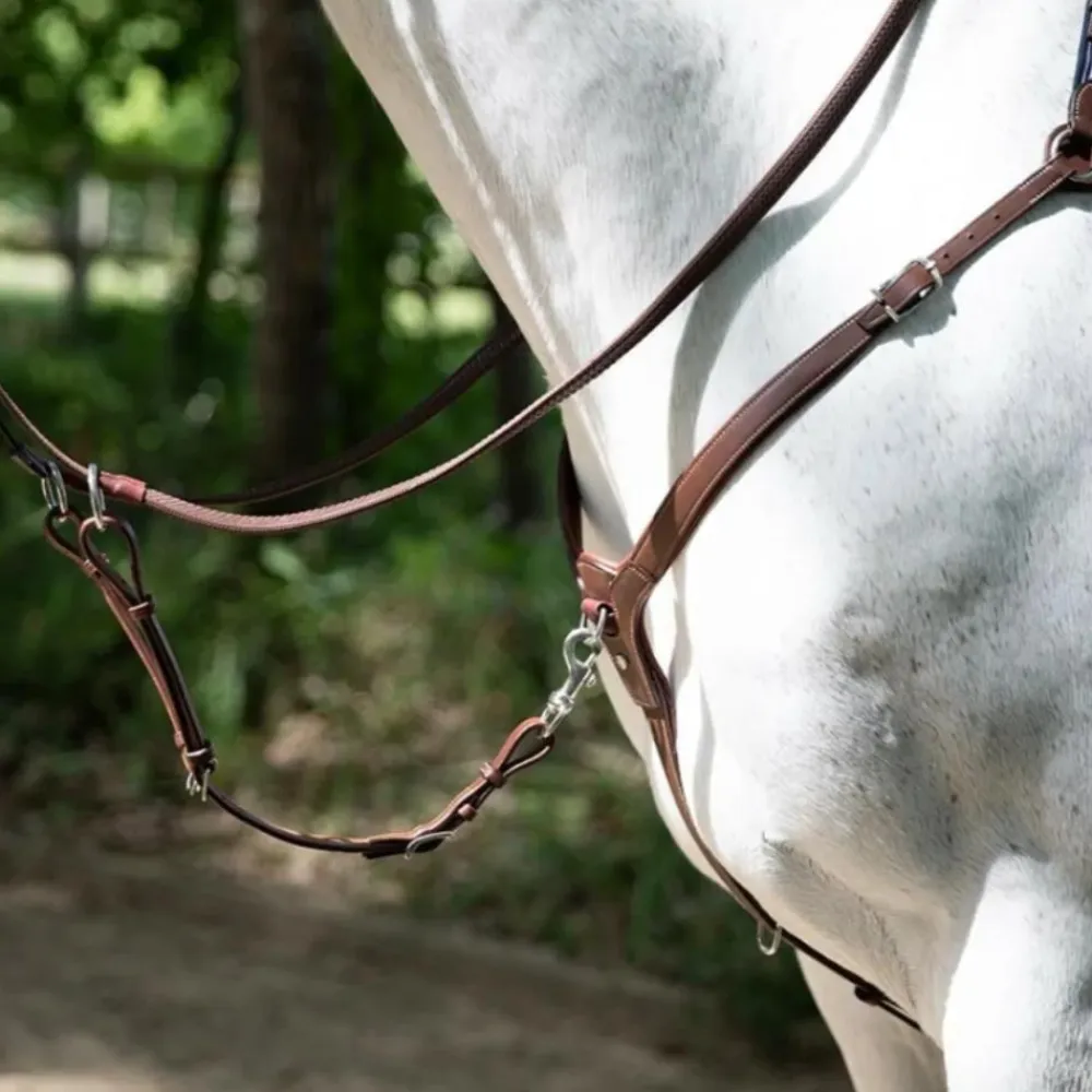 ANTARES COLLIER DE CHASSE A PONT HAVANE> Enrênements Et Travail À Pied·Enrênements Travail Monté