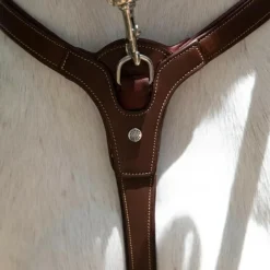 ANTARES COLLIER DE CHASSE A PONT HAVANE><noscript><img width=