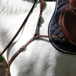 ANTARES COLLIER DE CHASSE A PONT HAVANE><noscript><img width=