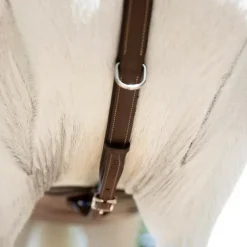 ANTARES COLLIER DE CHASSE A PONT HAVANE><noscript><img width=