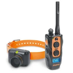 DOGTRA COLLIER DE DRESSAGE 2600T&B> 1200M| 1200M