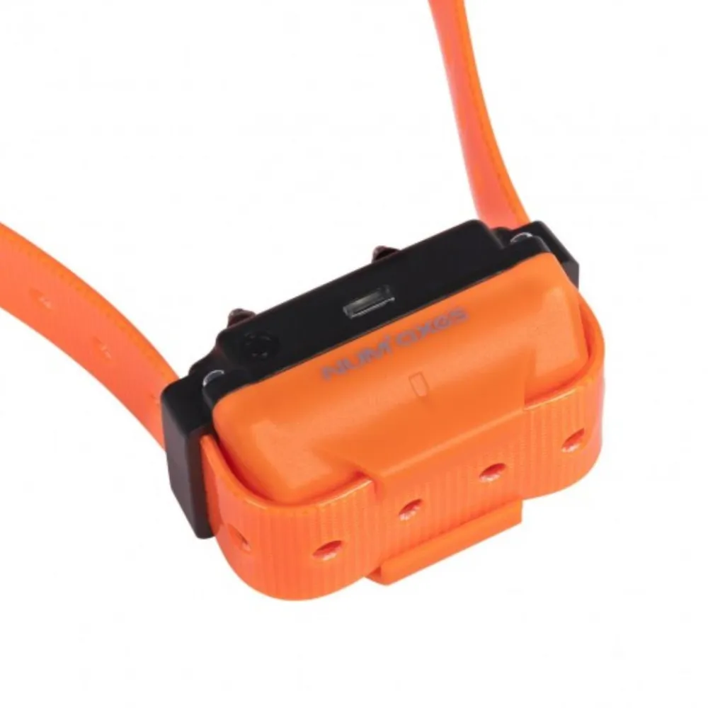 NUM'AXES EDUCATION COLLIER DRESSAGE CANICOM R-800> Colliers De Dressage Et Piles·Colliers De Dressage Portée 400-1200M|Colliers De Dressage Et Piles·Colliers De Dressage Portée 400-1200M