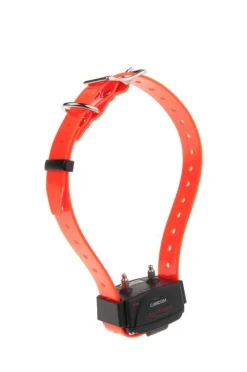 NUM'AXES EDUCATION COLLIER SUPP CANICOM SANGLE ORANGE> Colliers De Dressage Et Piles·Colliers De Dressage Portée 400-1200M|Colliers De Dressage Et Piles·Colliers De Dressage Portée 400-1200M