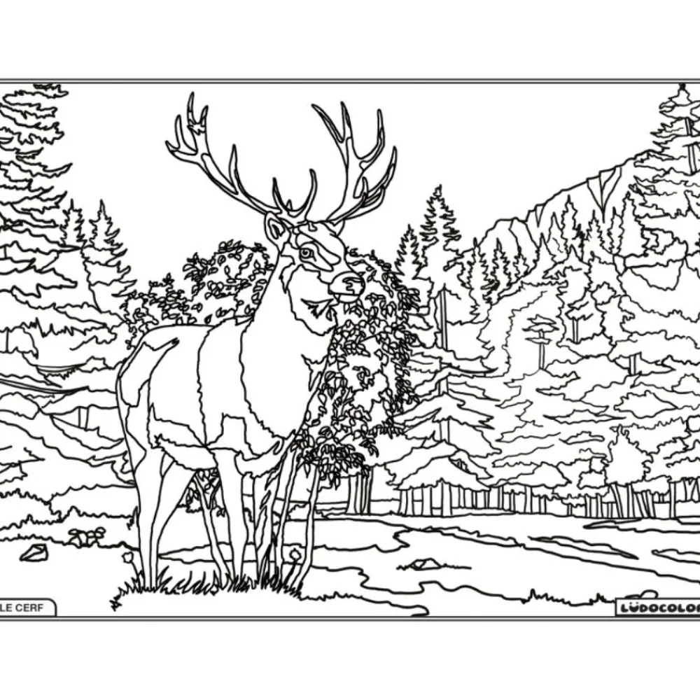 LUDOCOLOR COLORIAGE LE CERF>Enfant Papeterie Pour Enfants·Activités Créatives Enfant