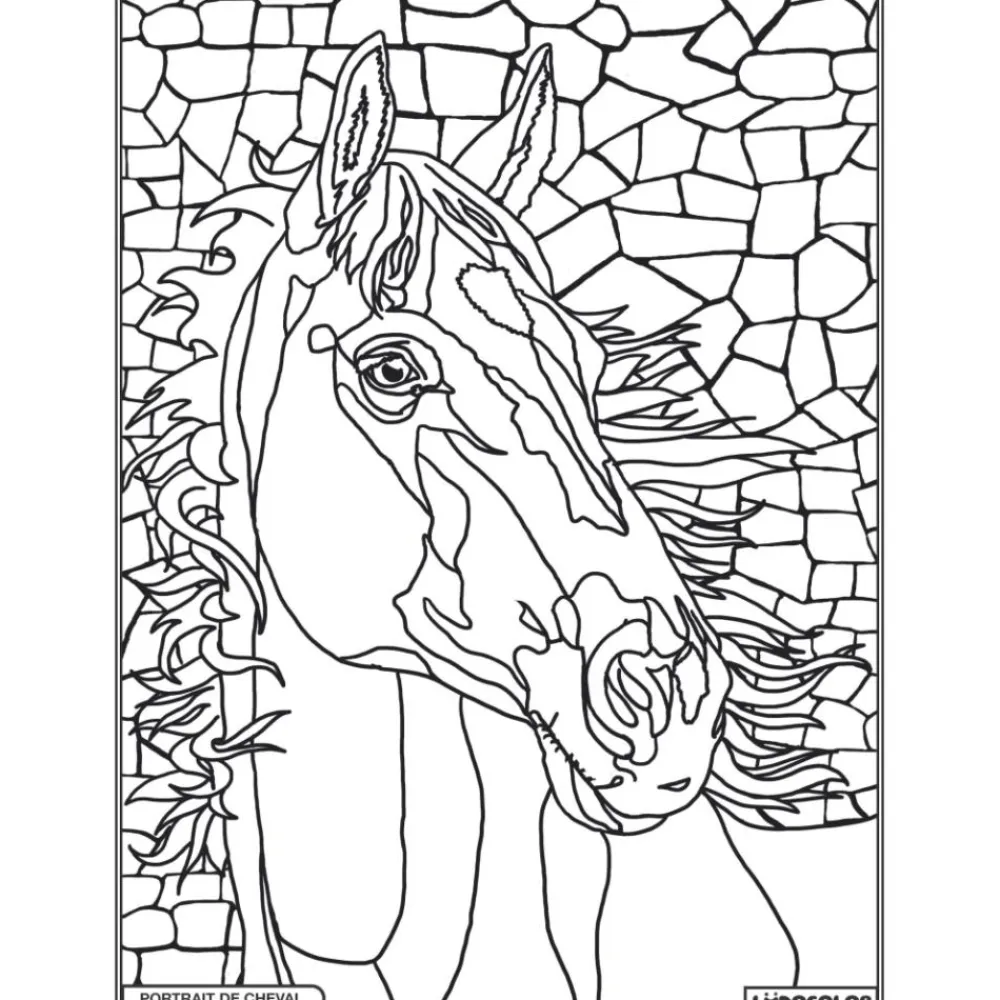 LUDOCOLOR COLORIAGE PORTRAIT DE CHEVAL>Enfant Papeterie Pour Enfants·Activités Créatives Enfant