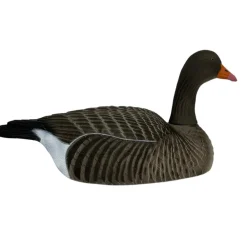 TERZEO CHASSEURS COQUILLE OIE CENDREE HD GAGNAGE> Chasse Du Gibier D'Eau·Formes Et Blettes D'Oies