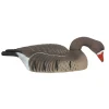 TERZEO CHASSEURS COQUILLE OIE RIEUSE HD GAGNAGE> Chasse Du Gibier D'Eau·Formes Et Blettes D'Oies