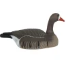 TERZEO CHASSEURS COQUILLE OIE RIEUSE HD MANGEUSE> Chasse Du Gibier D'Eau·Formes Et Blettes D'Oies