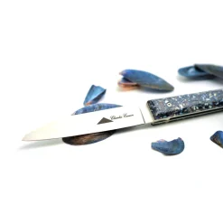 CHARLES CANON COUTEAU EN COQUILLES DE MOULES COFFRET EN BOIS MASSIF><noscript><img width=
