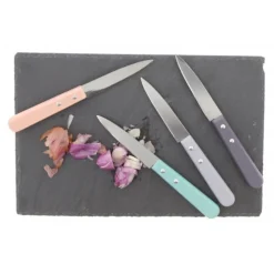 PRADEL EXCELLENCE COUTEAUX OFFICE MANCHES COULEUR X4> Couteaux De Cuisine·Couteaux D'Office Et Éplucheurs|Couteaux De Cuisine·Couteaux D'Office Et Éplucheurs