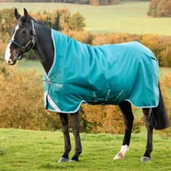 HORSEWARE COUVERTURE EXTERIEUR AMIGO BRAVO 12 400G> Chemises Et Couvertures D'Extérieur·Couvertures D'Extérieur Chaudes