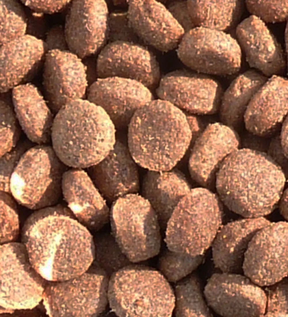 EVERLAND CROQUETTES WOLPY CHASSE 20KG> Alimentation·Croquettes Chien Adulte Énergie|Alimentation·Croquettes Chien Adulte Énergie