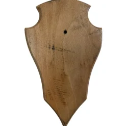 TERZEO CHASSEURS ECUSSON BOUT POINTU 22X13 CLAIR> Chasse Du Grand Gibier·Accessoires Pour Trophées