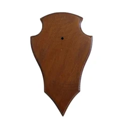 TERZEO CHASSEURS ECUSSON BOUT POINTU 22X13 MOYEN> Chasse Du Grand Gibier·Accessoires Pour Trophées